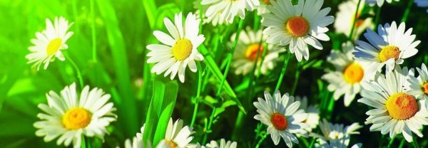 Обложка для одноклассников