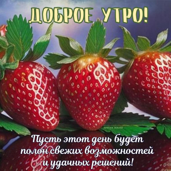 Доброе утро с клубникой