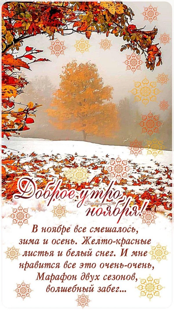 Доброе утро ноября с пожеланиями