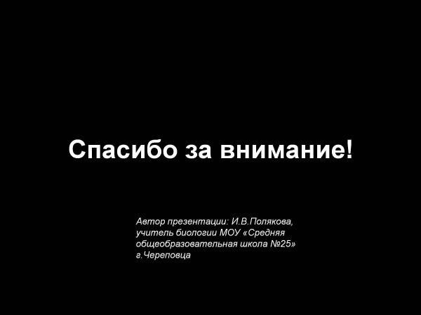 Спасибо за внимание